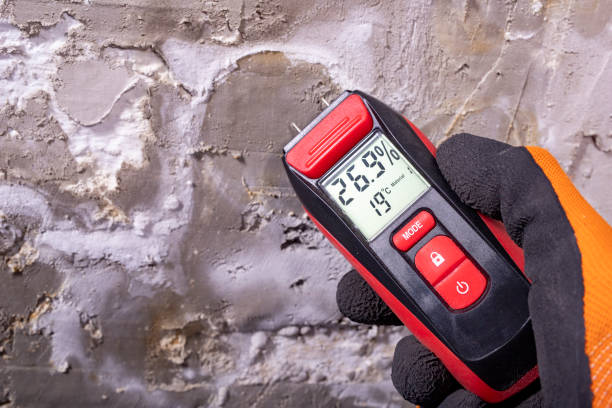Best Local Mold Removal Service  in Tokeneke, CT