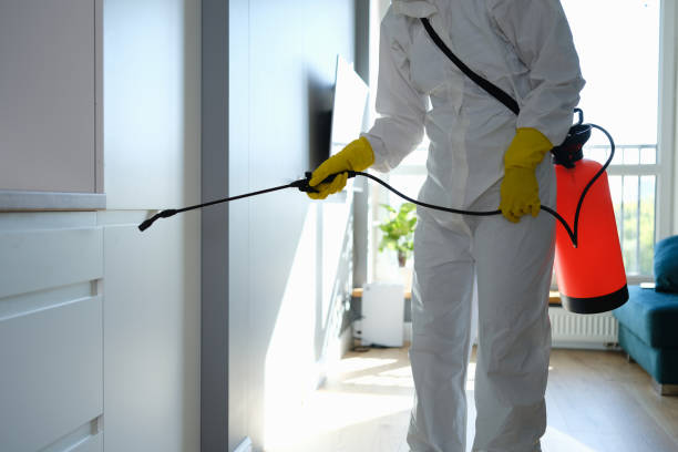 Best Mold Testing  in Tokeneke, CT