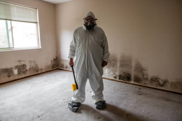 Best Crawl Space Mold Removal  in Tokeneke, CT